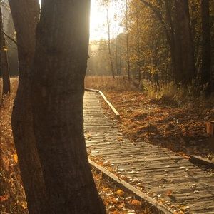 Meet your Posher, Robin